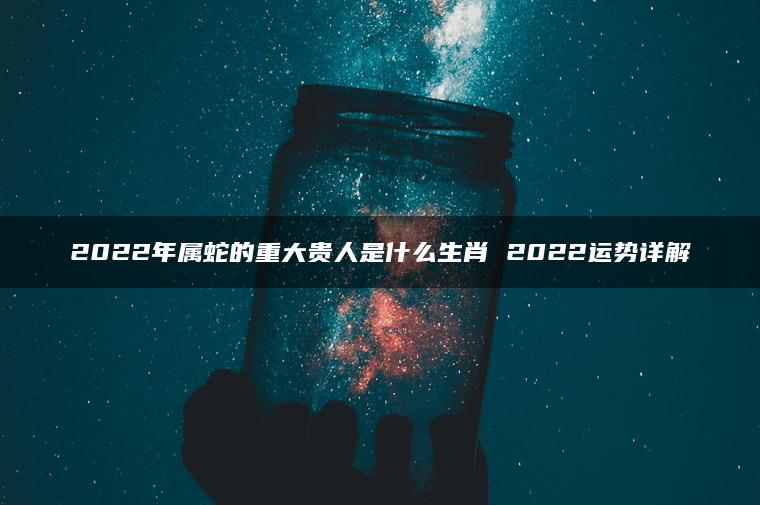 2022年属蛇的重大贵人是什么生肖 2022运势详解