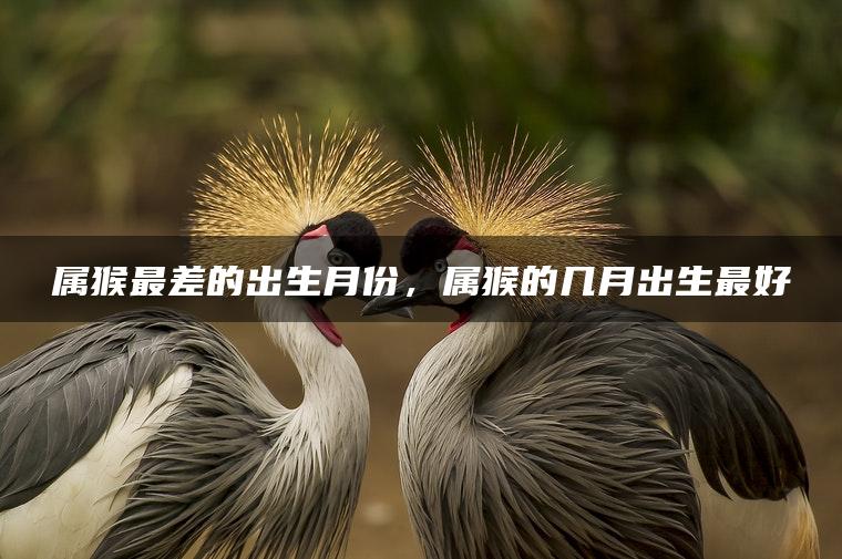 属猴最差的出生月份，属猴的几月出生最好