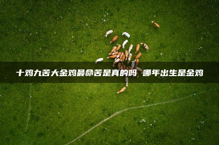 十鸡九苦大金鸡最命苦是真的吗 哪年出生是金鸡