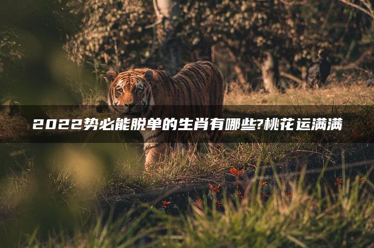 2022势必能脱单的生肖有哪些?桃花运满满