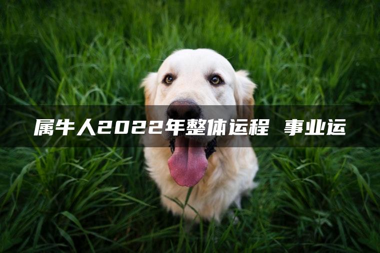 属牛人2022年整体运程 事业运