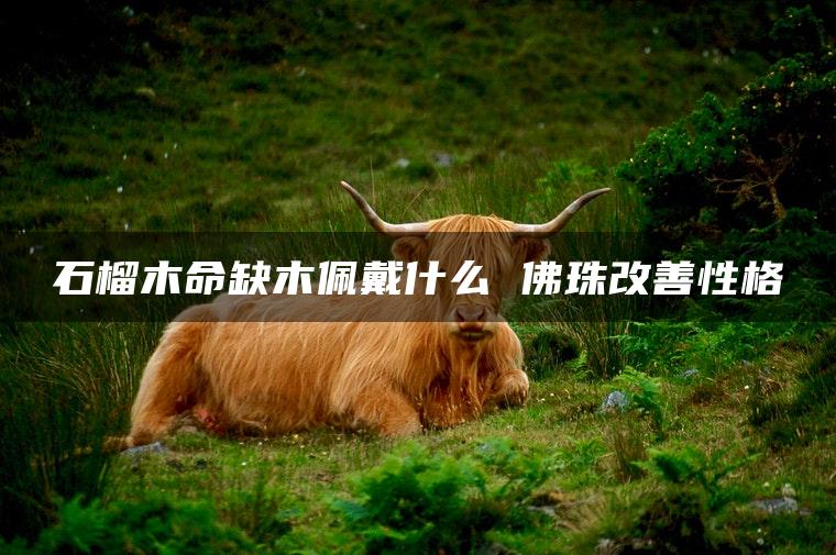 石榴木命缺木佩戴什么 佛珠改善性格