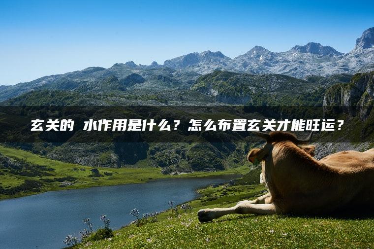 玄关的風水作用是什么？怎么布置玄关才能旺运？
