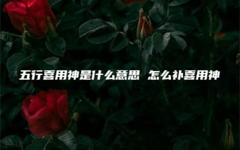 五行喜用神是什么意思 怎么补喜用神