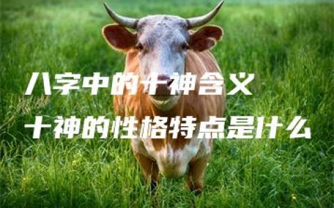 八字中的十神含义  十神的性格特点是什么