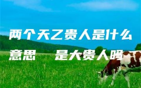 两个天乙贵人是什么意思  是大贵人吗