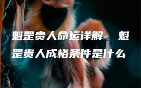 魁罡贵人命运详解  魁罡贵人成格条件是什么