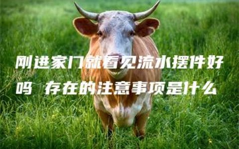 刚进家门就看见流水摆件好吗 存在的注意事项是什么