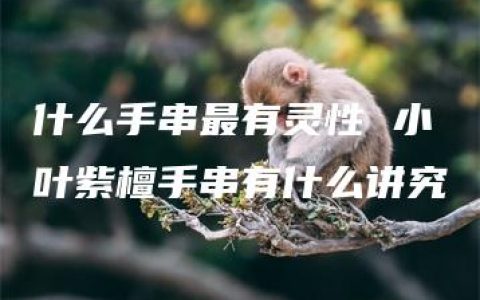 什么手串最有灵性 小叶紫檀手串有什么讲究