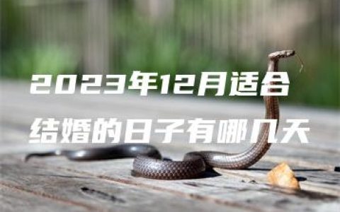 2023年12月适合结婚的日子有哪几天