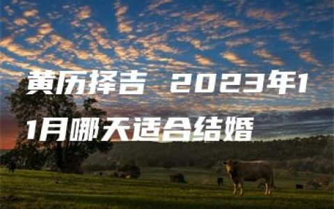 黄历择吉 2023年11月哪天适合结婚