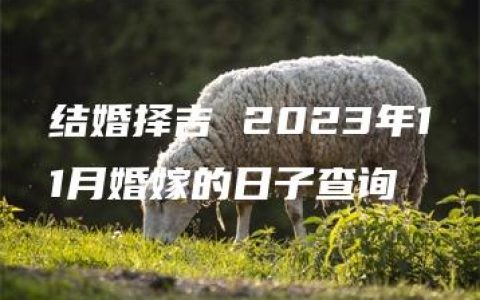 结婚择吉 2023年11月婚嫁的日子查询