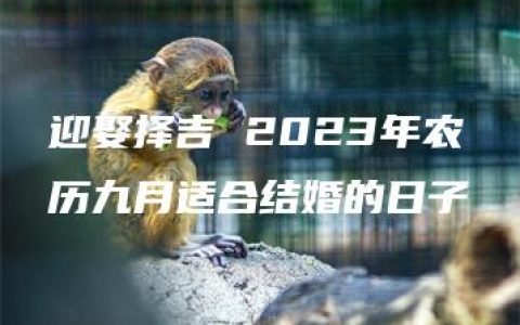 迎娶择吉 2023年农历九月适合结婚的日子