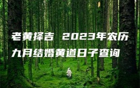 老黄择吉 2023年农历九月结婚黄道日子查询