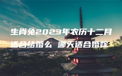 生肖兔2023年农历十二月适合结婚么 哪天适合婚嫁