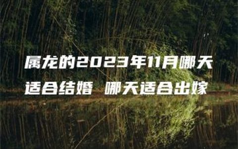 属龙的2023年11月哪天适合结婚 哪天适合出嫁