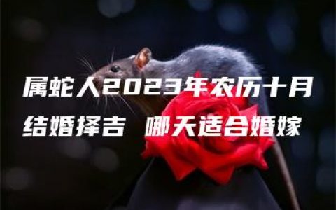 属蛇人2023年农历十月结婚择吉 哪天适合婚嫁