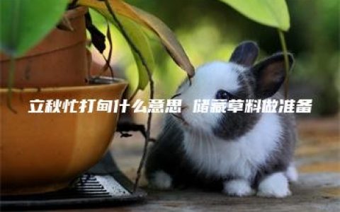 立秋忙打甸什么意思 储藏草料做准备