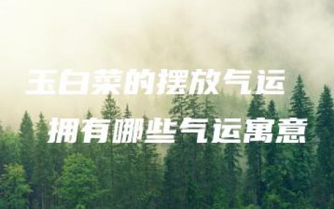 玉白菜的摆放气运  拥有哪些气运寓意