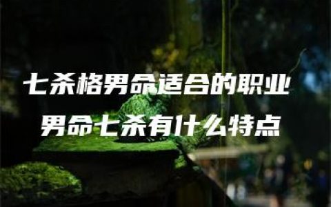 七杀格男命适合的职业  男命七杀有什么特点