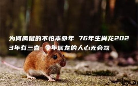 为何属鼠的不怕本命年 76年生肖龙2023年有三喜 今年属龙的人心无旁骛