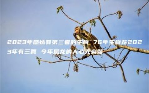 2023年感情有第三者的生肖 76年生肖龙2023年有三喜 今年属龙的人心无旁骛