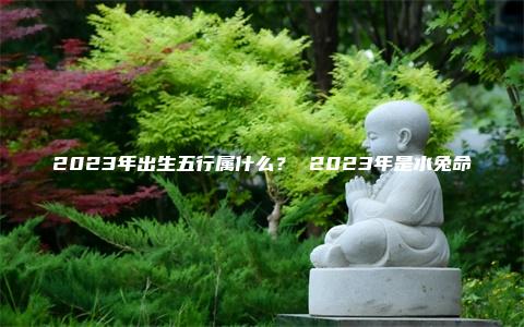 2023年出生五行属什么？ 2023年是水兔命