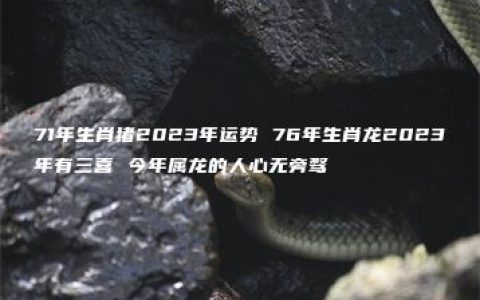 71年生肖猪2023年运势 76年生肖龙2023年有三喜 今年属龙的人心无旁骛