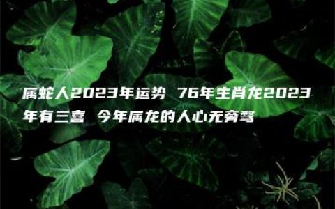 属蛇人2023年运势 76年生肖龙2023年有三喜 今年属龙的人心无旁骛