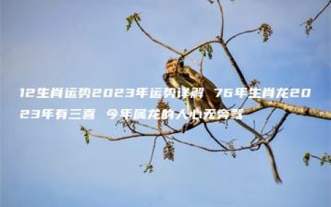 12生肖运势2023年运势详解 76年生肖龙2023年有三喜 今年属龙的人心无旁骛