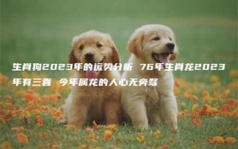 生肖狗2023年的运势分析 76年生肖龙2023年有三喜 今年属龙的人心无旁骛