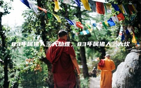 83年属猪人三大劫难，83年属猪人三大坎