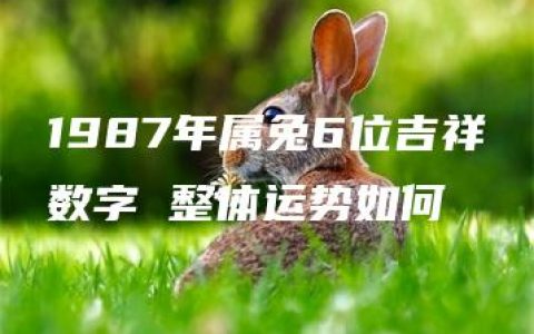 1987年属兔6位吉祥数字 整体运势如何