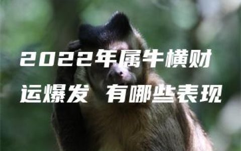 2022年属牛横财运爆发 有哪些表现