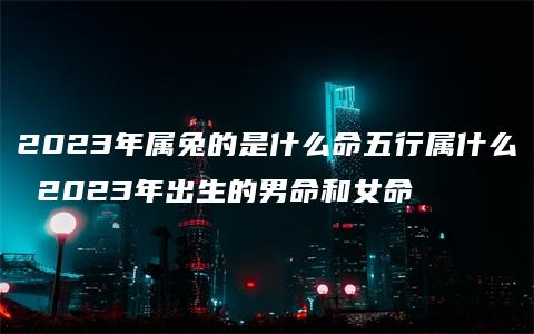 2023年属兔的是什么命五行属什么 2023年出生的男命和女命