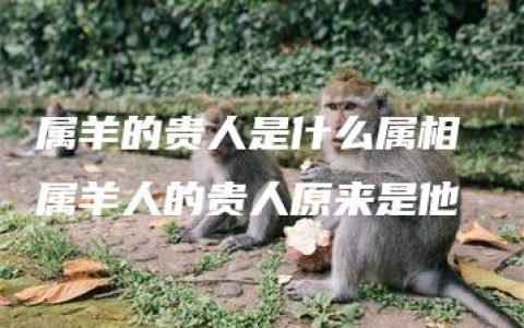 属羊的贵人是什么属相 属羊人的贵人原来是他