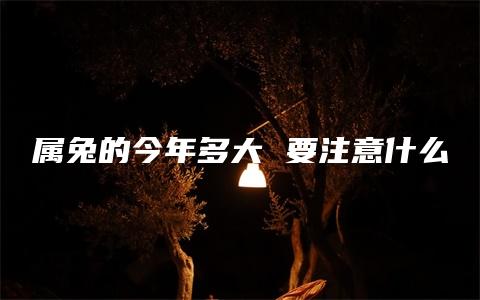 属兔的今年多大 要注意什么