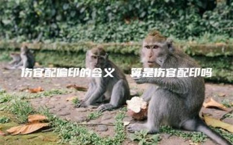 伤官配偏印的含义  算是伤官配印吗