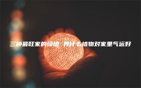 三种最旺家的绿植 养什么植物对家里气运好