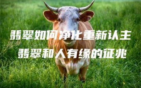 翡翠如何净化重新认主 翡翠和人有缘的征兆