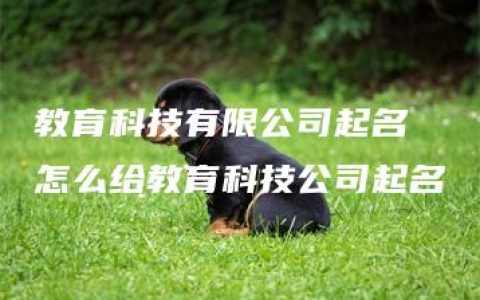 教育科技有限公司起名 怎么给教育科技公司起名