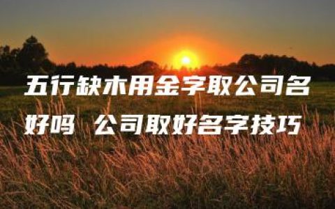 五行缺木用金字取公司名好吗 公司取好名字技巧