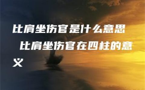 比肩坐伤官是什么意思  比肩坐伤官在四柱的意义