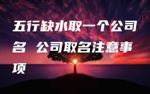 五行缺水取一个公司名 公司取名注意事项