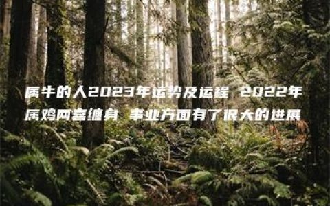 属牛的人2023年运势及运程 2022年属鸡两喜缠身 事业方面有了很大的进展