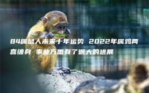 84属鼠人未来十年运势 2022年属鸡两喜缠身 事业方面有了很大的进展