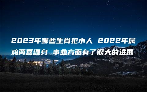 2023年哪些生肖犯小人 2022年属鸡两喜缠身 事业方面有了很大的进展