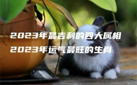 2023年最吉利的四大属相 2023年运气最旺的生肖