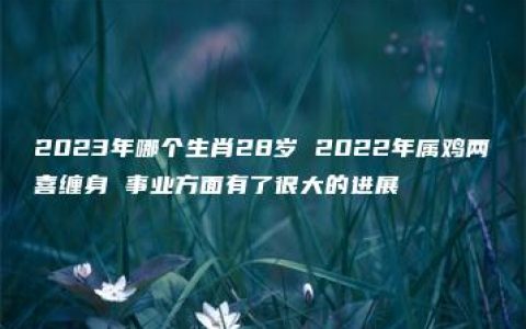 2023年哪个生肖28岁 2022年属鸡两喜缠身 事业方面有了很大的进展