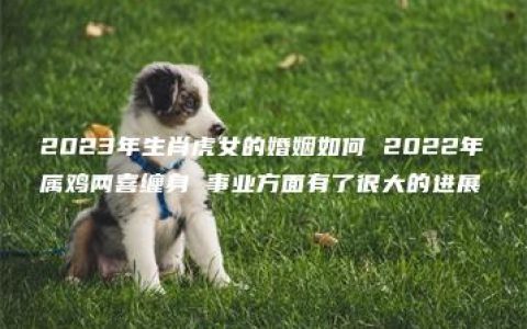 2023年生肖虎女的婚姻如何 2022年属鸡两喜缠身 事业方面有了很大的进展